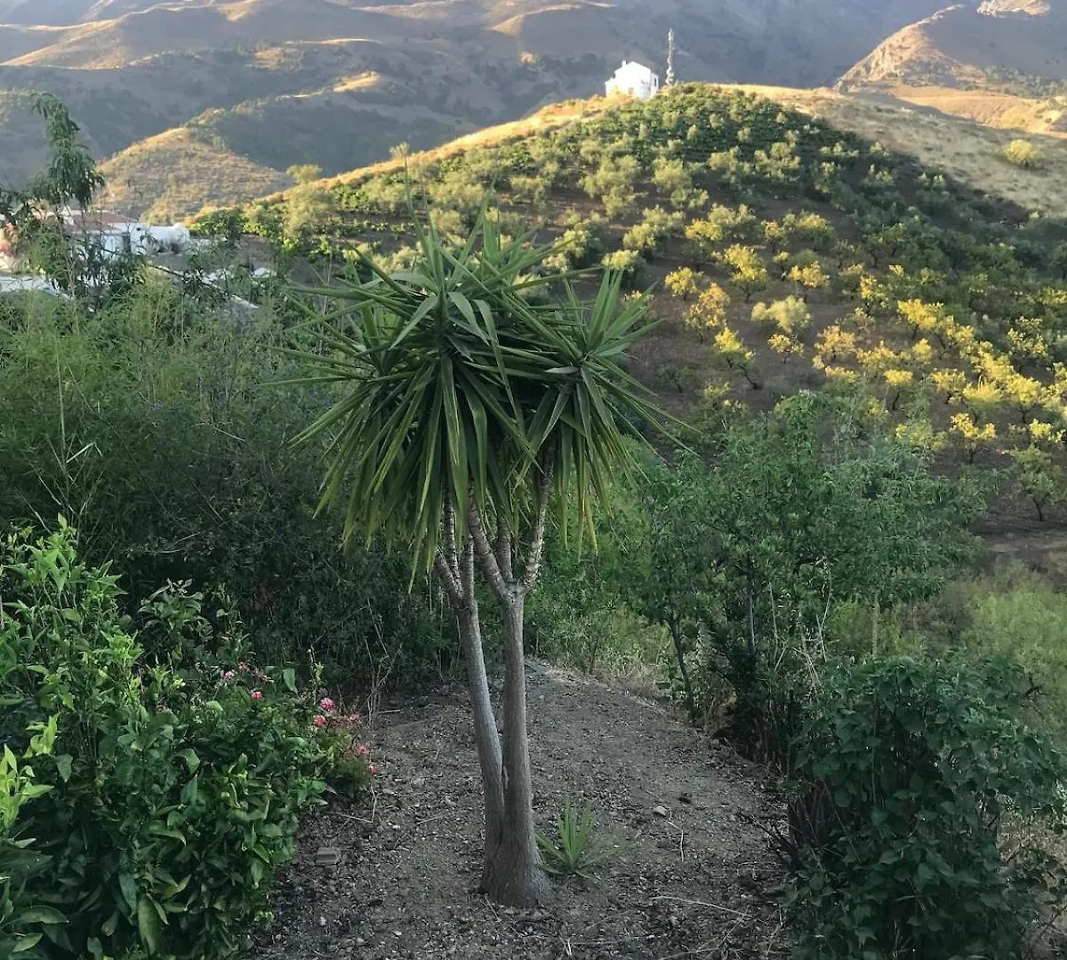 Mi Casa Es Su Casa Villa Sedella