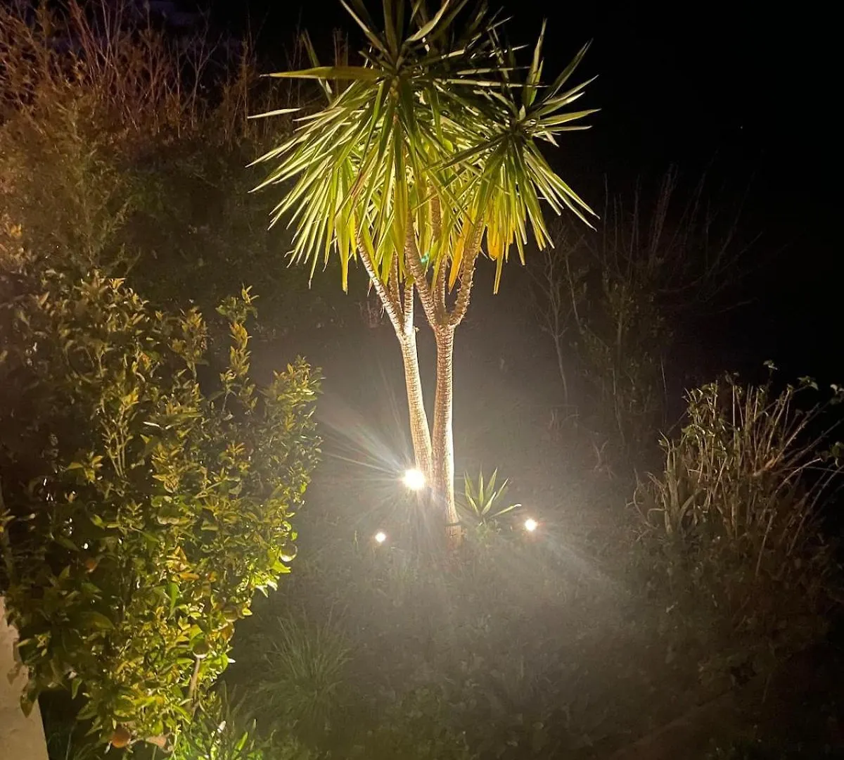 Mi Casa Es Su Casa Villa Sedella