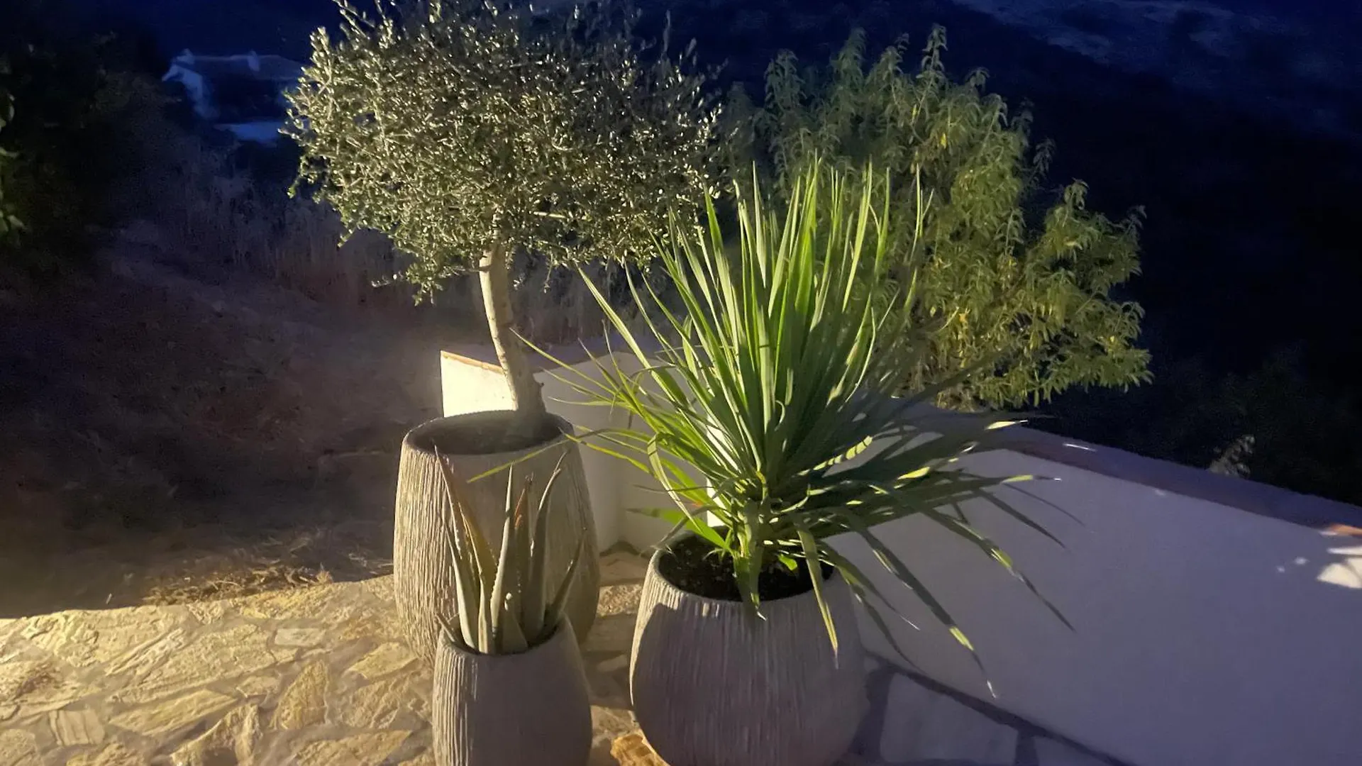 Mi Casa Es Su Casa Villa Sedella Spain